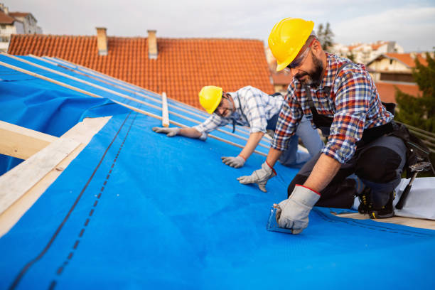 Best Roof Gutter Cleaning  in Harrisburg, SD